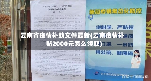 云南省疫情补助文件最新(云南疫情补贴2000元怎么领取)-第2张图片