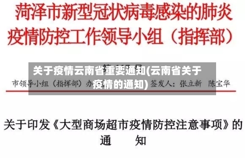 关于疫情云南省重要通知(云南省关于疫情的通知)-第1张图片