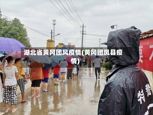湖北省黄冈团风疫情(黄冈团凤县疫情)-第3张图片