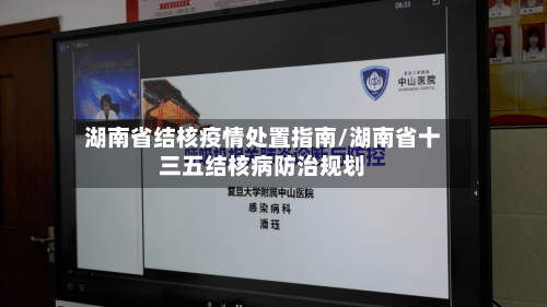 湖南省结核疫情处置指南/湖南省十三五结核病防治规划-第1张图片