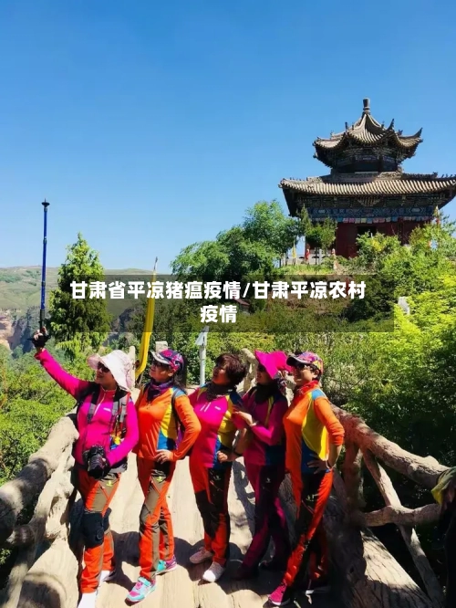 甘肃省平凉猪瘟疫情/甘肃平凉农村疫情-第1张图片