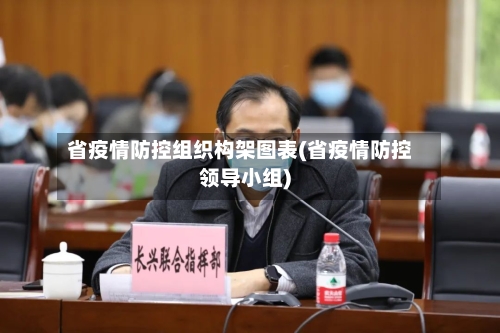 省疫情防控组织构架图表(省疫情防控领导小组)-第2张图片