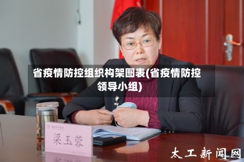 省疫情防控组织构架图表(省疫情防控领导小组)-第1张图片