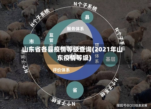 山东省各县疫情等级查询(2021年山东疫情等级)-第2张图片