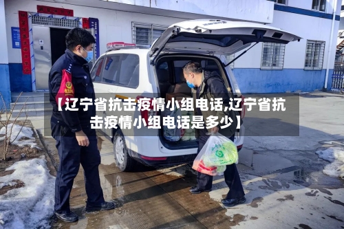 【辽宁省抗击疫情小组电话,辽宁省抗击疫情小组电话是多少】-第2张图片