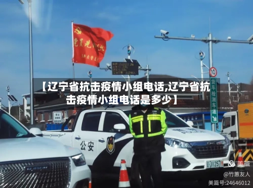 【辽宁省抗击疫情小组电话,辽宁省抗击疫情小组电话是多少】-第1张图片