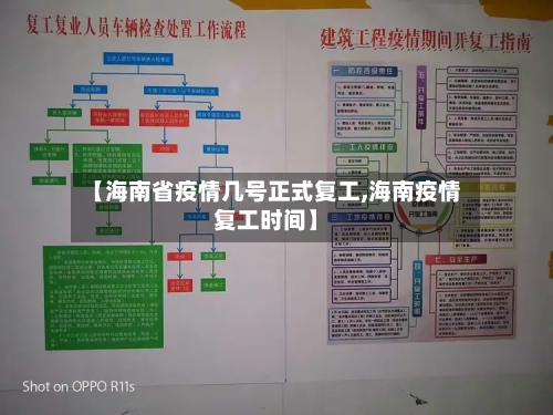 【海南省疫情几号正式复工,海南疫情复工时间】-第1张图片