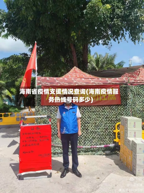 海南省疫情支援情况查询(海南疫情服务热线号码多少)-第1张图片