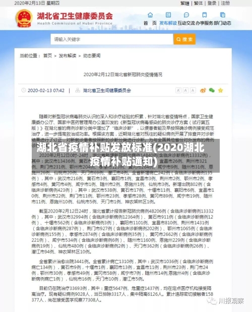 湖北省疫情补贴发放标准(2020湖北疫情补贴通知)-第1张图片