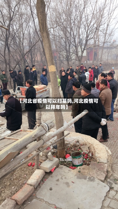 【河北省疫情可以扫墓吗,河北疫情可以拜年吗】-第2张图片