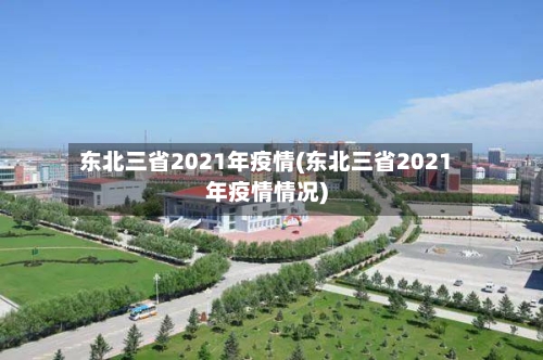 东北三省2021年疫情(东北三省2021年疫情情况)-第2张图片