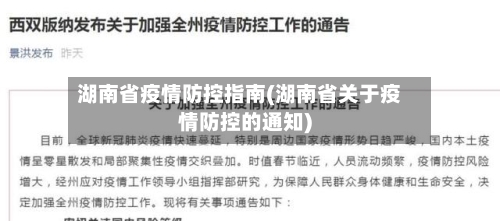湖南省疫情防控指南(湖南省关于疫情防控的通知)-第1张图片