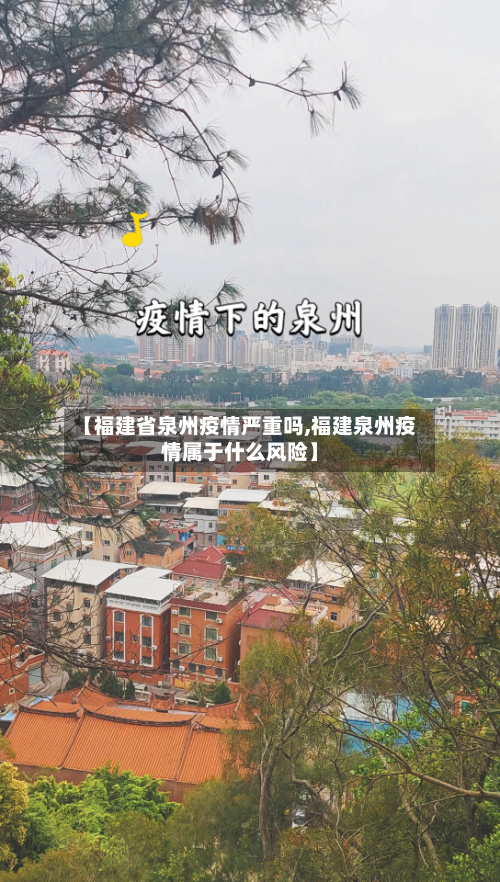 【福建省泉州疫情严重吗,福建泉州疫情属于什么风险】-第2张图片