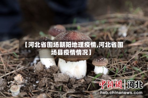 【河北省围场朝阳地理疫情,河北省围场县疫情情况】-第2张图片