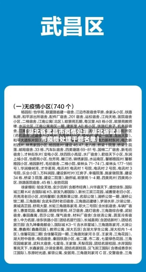 【湖北省武昌市疫情处理,湖北省武昌市疫情处理干部名单】-第1张图片