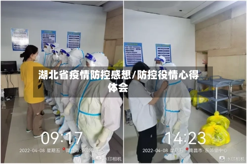 湖北省疫情防控感想/防控役情心得体会-第2张图片
