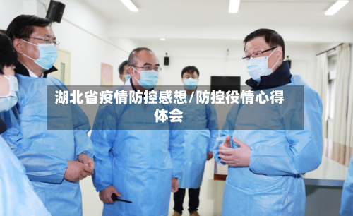湖北省疫情防控感想/防控役情心得体会-第3张图片