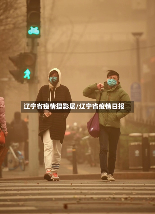 辽宁省疫情摄影展/辽宁省疫情日报-第1张图片