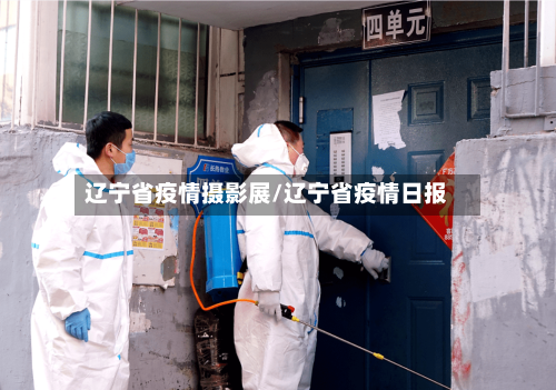 辽宁省疫情摄影展/辽宁省疫情日报-第2张图片