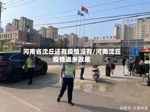 河南省沈丘还有疫情没有/河南沈丘疫情返乡政策-第1张图片
