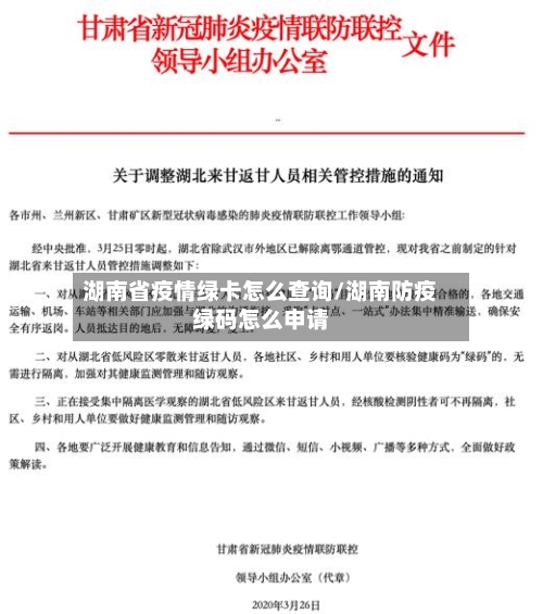 湖南省疫情绿卡怎么查询/湖南防疫绿码怎么申请-第1张图片