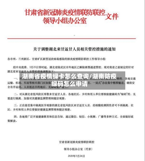 湖南省疫情绿卡怎么查询/湖南防疫绿码怎么申请-第2张图片
