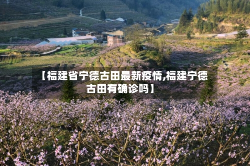 【福建省宁德古田最新疫情,福建宁德古田有确诊吗】-第3张图片