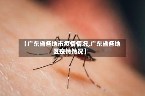 【广东省各地市疫情情况,广东省各地区疫情情况】-第1张图片