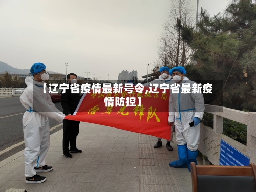 【辽宁省疫情最新号令,辽宁省最新疫情防控】-第3张图片