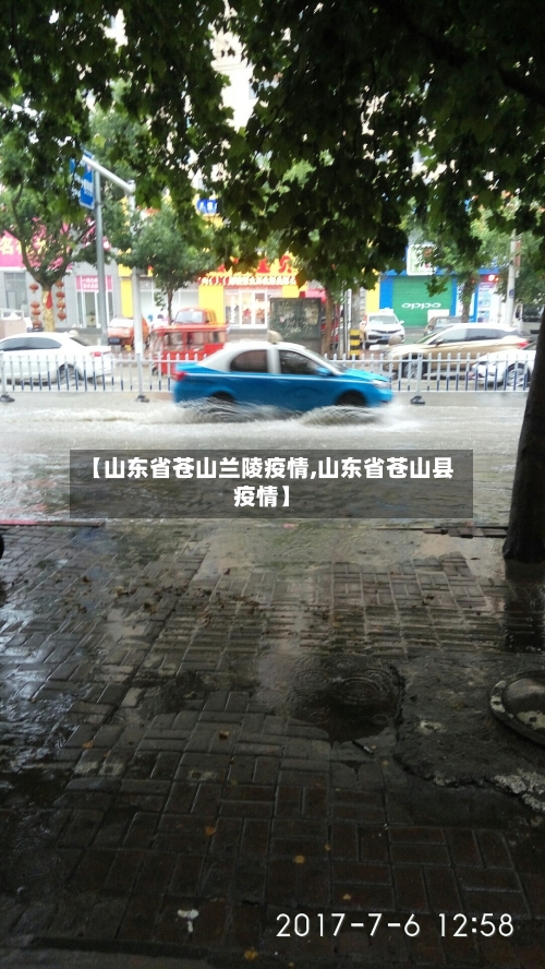 【山东省苍山兰陵疫情,山东省苍山县疫情】-第2张图片