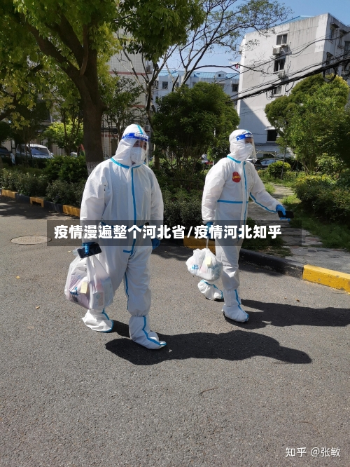 疫情漫遍整个河北省/疫情河北知乎-第3张图片