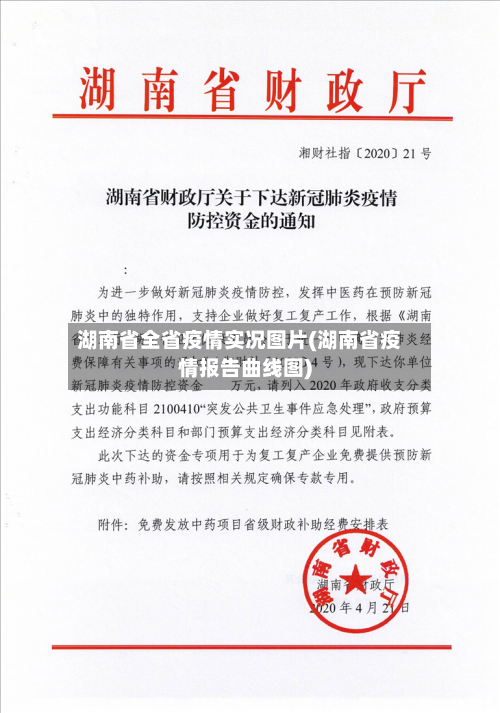 湖南省全省疫情实况图片(湖南省疫情报告曲线图)-第2张图片