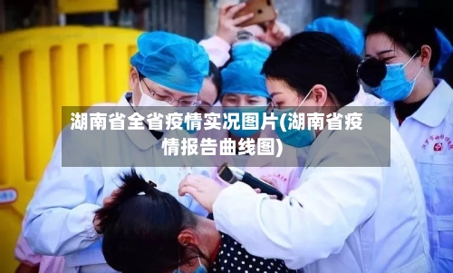 湖南省全省疫情实况图片(湖南省疫情报告曲线图)-第1张图片