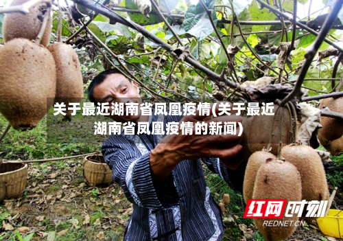 关于最近湖南省凤凰疫情(关于最近湖南省凤凰疫情的新闻)-第1张图片