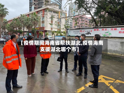 【疫情期间海南省帮扶湖北,疫情海南支援湖北哪个市】-第2张图片
