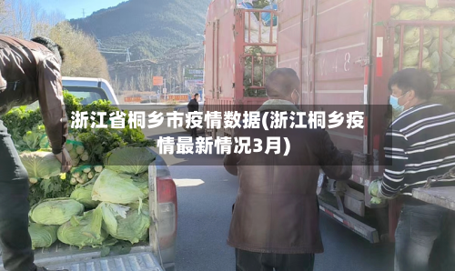 浙江省桐乡市疫情数据(浙江桐乡疫情最新情况3月)-第2张图片