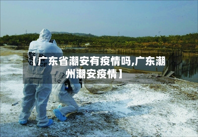 【广东省潮安有疫情吗,广东潮州潮安疫情】-第3张图片