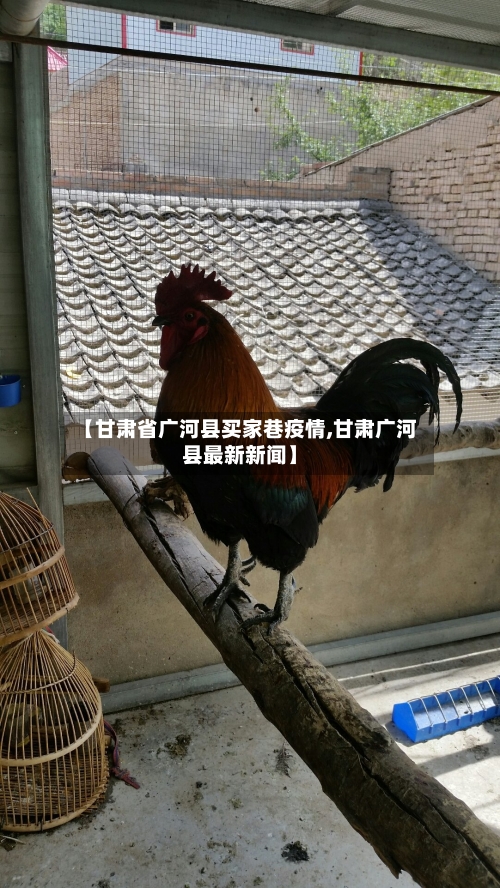 【甘肃省广河县买家巷疫情,甘肃广河县最新新闻】-第2张图片