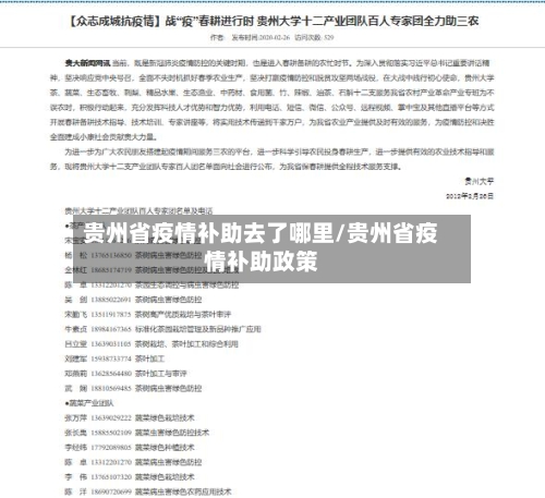 贵州省疫情补助去了哪里/贵州省疫情补助政策-第1张图片