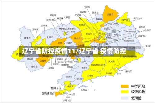 辽宁省防控疫情11/辽宁省 疫情防控-第1张图片