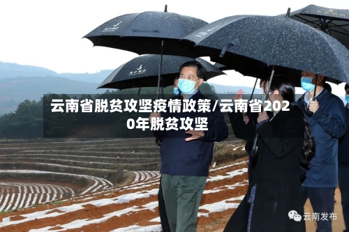 云南省脱贫攻坚疫情政策/云南省2020年脱贫攻坚-第1张图片