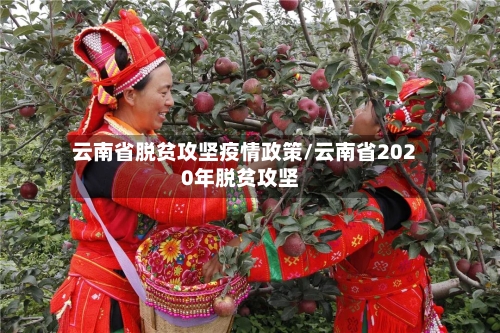 云南省脱贫攻坚疫情政策/云南省2020年脱贫攻坚-第2张图片