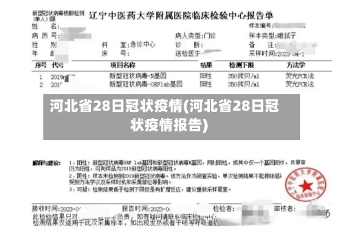 河北省28日冠状疫情(河北省28日冠状疫情报告)-第1张图片