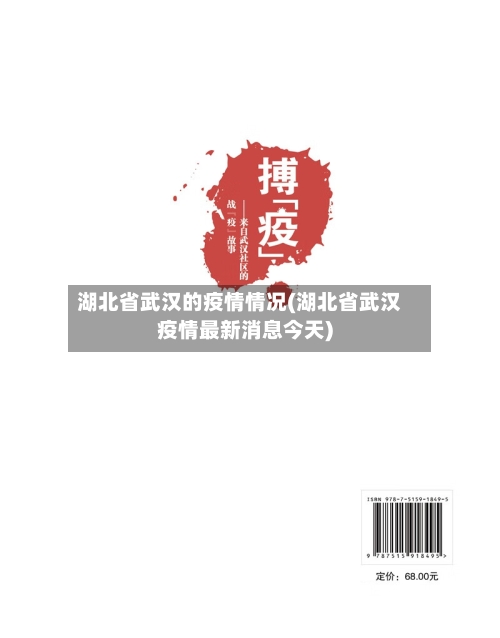 湖北省武汉的疫情情况(湖北省武汉疫情最新消息今天)-第1张图片