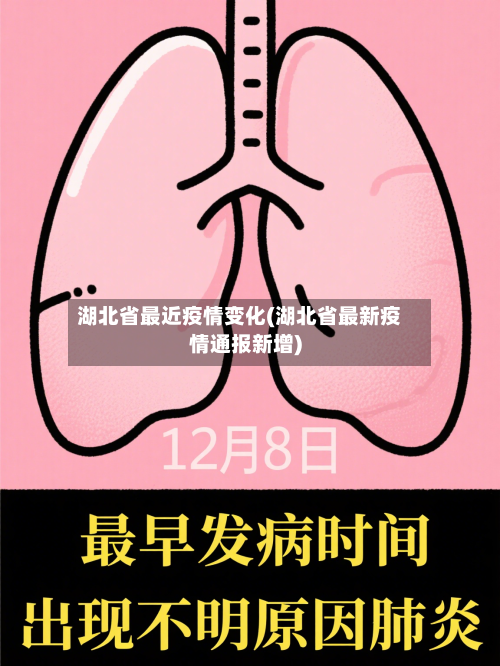 湖北省最近疫情变化(湖北省最新疫情通报新增)-第2张图片