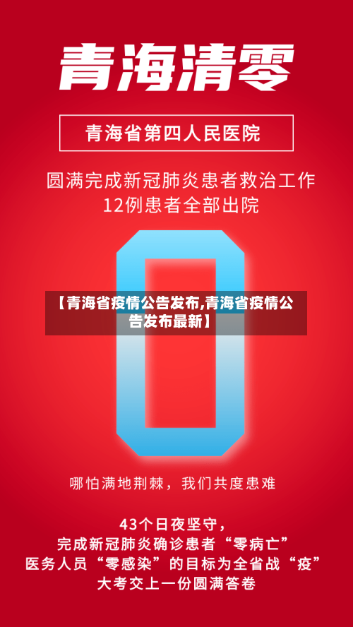 【青海省疫情公告发布,青海省疫情公告发布最新】-第2张图片