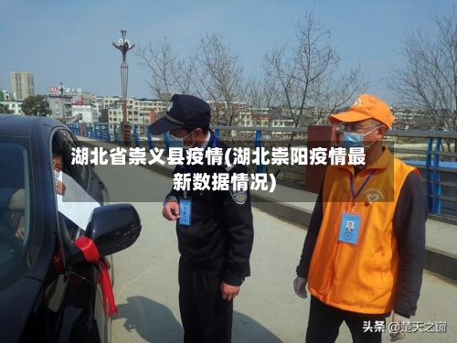 湖北省崇义县疫情(湖北崇阳疫情最新数据情况)-第2张图片
