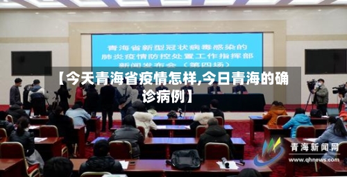 【今天青海省疫情怎样,今日青海的确诊病例】-第2张图片
