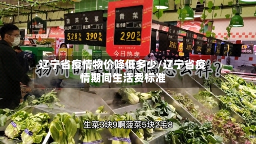 辽宁省疫情物价降低多少/辽宁省疫情期间生活费标准-第3张图片