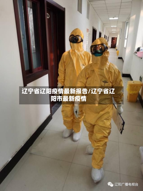 辽宁省辽阳疫情最新报告/辽宁省辽阳市最新疫情-第2张图片